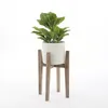 Mica Decorations Evergreen Kunstpflanze - H49 x Ø40 cm - Produktbild-Vorschau 6
