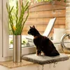 lionto Fensterbrettliege, weiche Katzenliege mit Produktbild-Vorschau 2