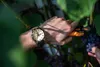 Zegarek męski VOSTOK EUROPE NH34-225A713 brązowy klasyczny Podgląd zdjęcia produktu 9