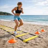 Sada pro koordinaci agility - tréninkový žebřík a Náhled obrázku produktu 4