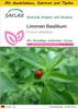 SAFLAX Anzucht Set - Limonen Basilikum - Ocimum citriodorum Produktbild-Vorschau 1