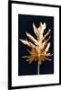 MuchoWow® MuchoWow® Gerahmtes Poster Schwarz und Gold - Produktbild-Vorschau 7