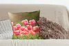 MuchoWow® Zierkissen Sofakissen Wohnzimmer Dekokissen 50x50 Produktbild-Vorschau 4