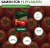 Stabtomaten Tamina Samen - Solanum lycopersicum Produktbild-Vorschau 5
