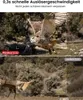 Wildkamera 36MP 4K Wasserdicht Tierkamera mit 32G Produktbild-Vorschau 13