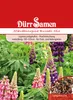 Staudenlupine Russell Mix | Staudenlupinensamen von Dürr Produktbild-Vorschau 1