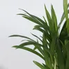 Plantes d'intérieur tendance - Set de 4 - Hauteur 25-40cm - Voir les images du produit 3