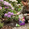 Rhododendrondünger 850G Gesunde und üppige Blüte Produktbild-Vorschau 6