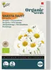 Margerite May Queen |  Margeritensamen von Buzzy Seeds Produktbild-Vorschau 2