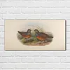 Coloray - Bild aus Glas - Glasbilder - 100 x 50 cm - Produktbild-Vorschau 2