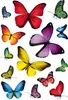 HERMA 3084 Sticker DECOR "Schmetterlingsvielfalt"(S) Anteprima dell’immagine prodotto 1