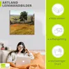 ARTland Leinwandbild Feld im Sommer Größe: 30x30 cm Produktbild-Vorschau 2