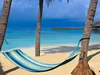 A hammock strung between two palm trees on a sandy beach, with the ocean and a clear blue sky in the background. Produktbild-Vorschau