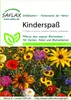 Artikelbild 1 von 'Blumenwiese Kinderspaß' aus der Kategorie Wildblumenwiese Náhled obrázku produktu