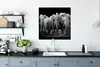 MuchoWow® Poster Elefant - Schwarz - Weiß - Tiere 75x75 cm Produktbild-Vorschau 3