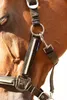 Harrys Horse Halfterset Valli rosin, Größe:Full Produktbild-Vorschau 2