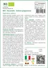 SAFLAX Set regalo - BIO - Ravanello - Daikon giapponese - Anteprima dell’immagine prodotto 3
