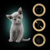 Sheba Kitten, výběr příchutí, 40x85g. Kompletní vlhké Náhled obrázku produktu 3