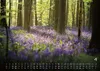 Wald - Erholung für Mensch und Tier - 2027 - Kalender DIN Produktbild-Vorschau 9
