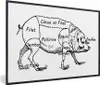 MuchoWow® MuchoWow® Gerahmtes Poster Antike Illustration Produktbild-Vorschau 1