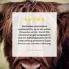MuchoWow® - Leinwandbilder - Schottischer Hochländer - Produktbild-Vorschau 8