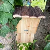 Nichoir pour chauves souris Voir les images du produit 2