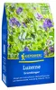 Kiepenkerl Gründüngung Luzerne Medicago sativa für 100 m² Produktbild-Vorschau 3