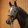 Passier Trense Favorite powered by Ingrid Klimke Produktbild-Vorschau 3