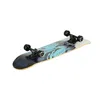 Skateboard NILS Extreme CR3108 Berg Produktbild-Vorschau 9