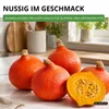 Hokkaido Kürbis Uchiki Kuri Samen - Cucurbita maxima - Produktbild-Vorschau 7