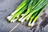 SAFLAX - BIO - Frühlingszwiebel - Japanische Ishikura - 150 Produktbild-Vorschau 6