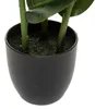 Künstlicher Gummibaum im Topf, Ø 40 × 120 cm Produktbild-Vorschau 3