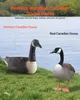 VEVOR Canada Goose uccello da richiamo (6 pezzi) oche Anteprima dell’immagine prodotto 2