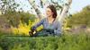 Bosch UniversalHedgeCut 50 - Tagliasiepi - a batteria 2,5 Anteprima dell’immagine prodotto 5