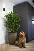 Capi Vase Groove Elegant 46x58 cm Schwarz und Golden Produktbild-Vorschau 8