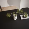 A close-up, top-down view of a black table with a white vase containing a green plant and a book with a small plant on top. Produktbild-Vorschau