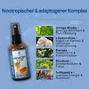Gedächtnis Fokus Spray | Lions Mane, Bacopa, Ginkgo Biloba, Produktbild-Vorschau 4
