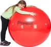 Ledragomma Fitnessball "Original Pezziball", ø 95 cm Produktbild-Vorschau 2