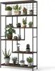 A multi-tiered plant stand filled with various potted plants, displayed against a white background. Podgląd zdjęcia produktu