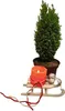 A small potted evergreen tree with a lit orange candle on a wooden sled. Náhled obrázku produktu