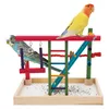 Two birds are perched on a colorful wooden bird playground stand. Náhled obrázku produktu