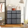 A room with a closet and a storage unit. Anteprima dell’immagine prodotto