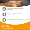 Iams Pouch 12-Pack Kitten In Gravy 12X85G Productafbeelding-voorbeeld 7