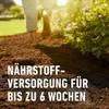 COMPO Anzucht- und Kräutererde torffrei 10 L Produktbild-Vorschau 4