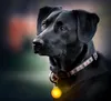 PRECORN LED Leuchtanhänger inkl. Batterie für Hunde Katzen Produktbild-Vorschau 2