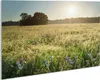 Wallario Handtuchhalter aus Glas, Motiv: Wiese im Licht der Produktbild-Vorschau 1