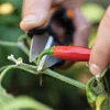 FISKARS 1063326 nůžky na byliny SOLID kalené nerez čepele Náhled obrázku produktu 12