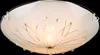 A close-up, studio shot of a ceiling light fixture against a black background. Anteprima dell’immagine prodotto