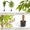 Ficus artificiel FIDA à l'aspect naturel - 160 cm Voir les images du produit 4