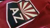 NHL Arizona Coyotes Eishockey Trikot Jersey rot blank Produktbild-Vorschau 5